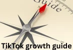 TikTok growth guide