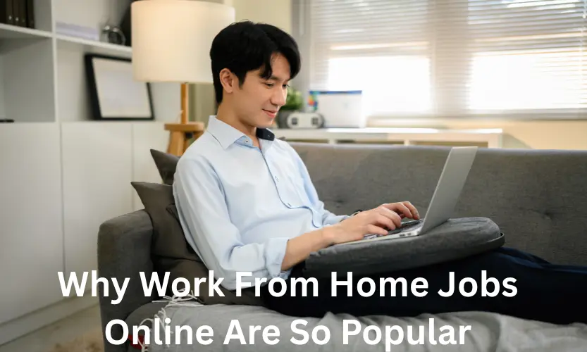 Why Work From Home Jobs Online Are So Popular